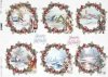 Navidad, Santa, vistas de invierno, animales*Weihnachten, Santa, Winteransichten, Tiere*Рождество, Санта, зимние виды, животные